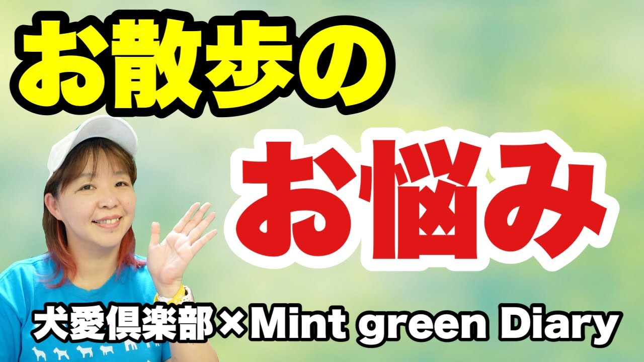 犬のお散歩　うまくできない！悩める飼い主さんの参考に・・。【Mint green Diaryさんコラボ企画第二弾】