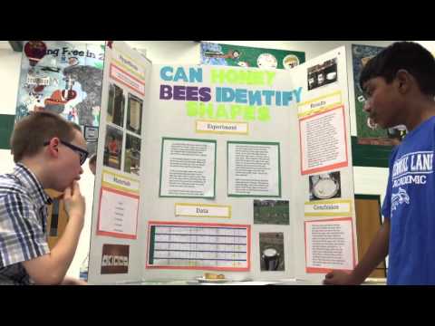 science fair project report sle honey bees science fair project science fair project report sle honey bees science fair project