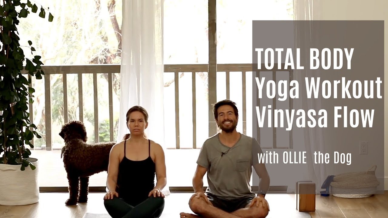 Total Body Yoga Workout Vinyasa flow w/ Ollie the Dog | Movement With Tim hip opening routine