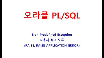 PLSQL예외처리, Non-Predefined,사용자 정의 오류, RAISE, RAISE_APPLICATION_ERROR, SQL학원,SQL교육,자바학원,오라클교육,오라클학원