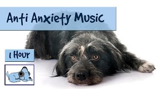 AntiAnxiety Music for Dogs and Puppies, Music to Soothe Dogs Suffering with Anxiety or Stress