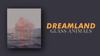 DREAMLAND | Glass Animals - lyrics