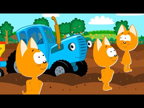 Котенок Котэ | Дыр Дыр Синий Трактор | Песенки мультики для детей