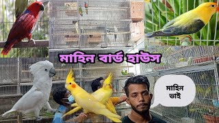 কম দামে বিদেশি পাখি কিনুন | পাখি মাহিন বার্ডস হাউস | রানিং বাজরিগার | কনুর | রেনবো লরি ককাটেল ফিন্স