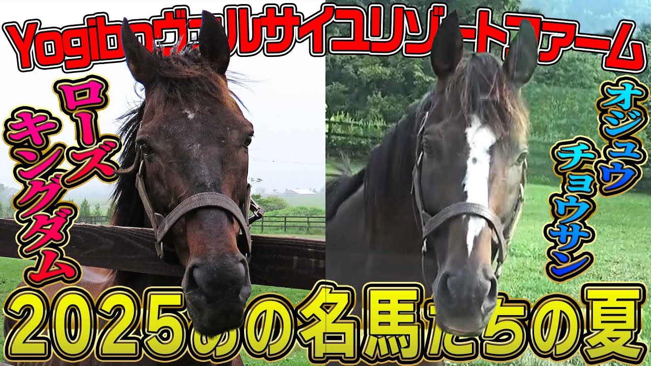 【Yogiboヴェルサイユリゾートファーム】10月19日に二子玉川で会える!オジュウチョウサン、タニノギムレット、ローズキングダムなどなど、あの名馬たちの夏!《東スポ競馬》