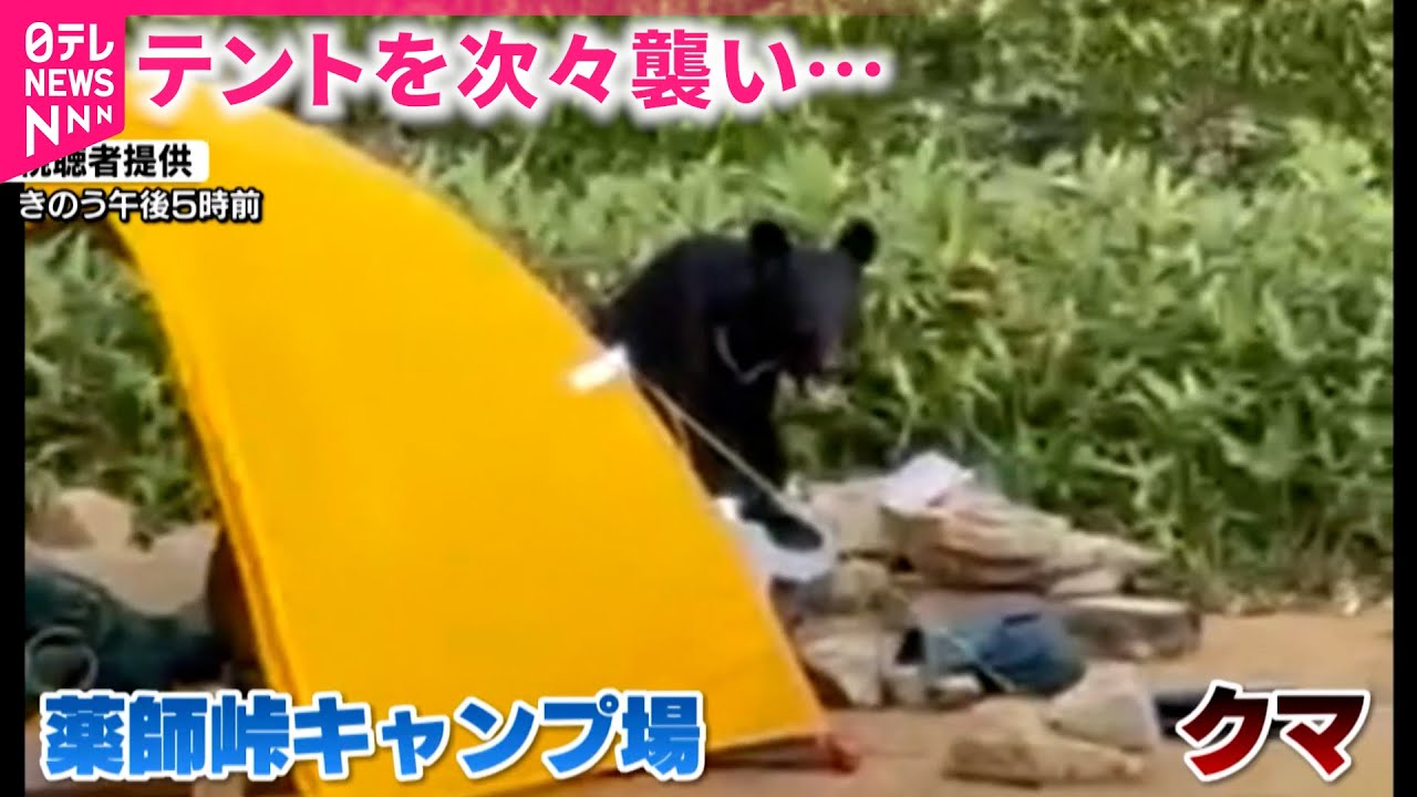 キャンプ 熊 事件