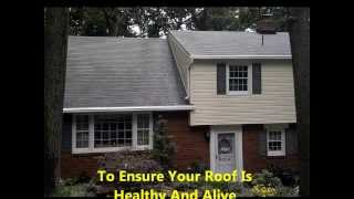 No-pressure Roof Cleaning Hershey PA 17033 Moss Algae Removal