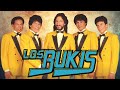 Los Bukis Todos Sus 30 Grandes Éxitos Inmortales 🌹Los Bukis Viejitas Pero Bonitas 80s🌹Album Completo