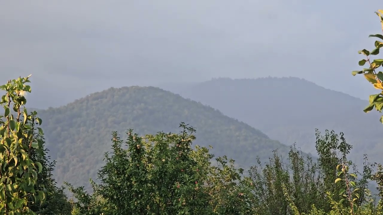 Balakəndə balıq gölü ve meyvə bağı satilir qiyməti 25 min manat əlaqə 0503693002 0554693002 vatsap