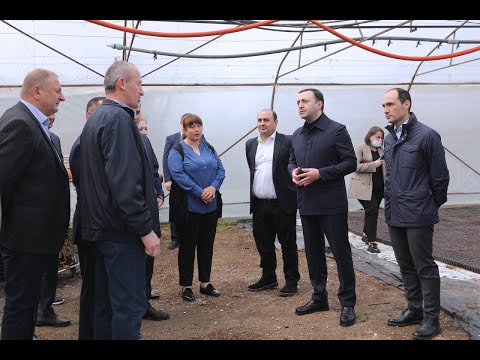 მარნეულის სოფელ დიოკნისში სასათბურე მეურნეობის დათვალიერება