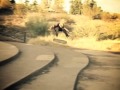 Ted Schmitz In A Happy Medium 3