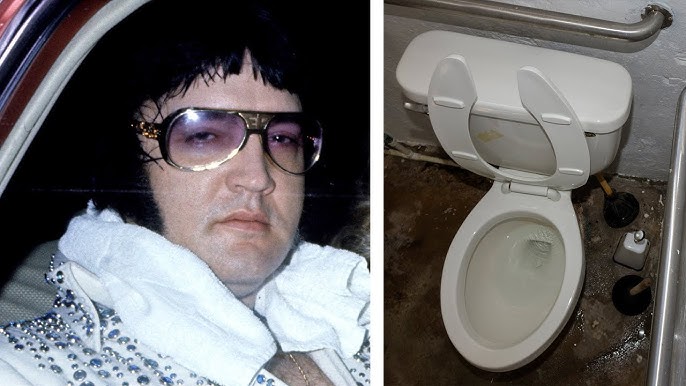 The Task Force In Charge Of Making Sure Elvis Didn’t Die On The Toilet  Explain What Went Wrong