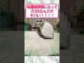 【2ch面白いスレ】保護猫の里親になったんやが#2ch #2ch面白いスレ