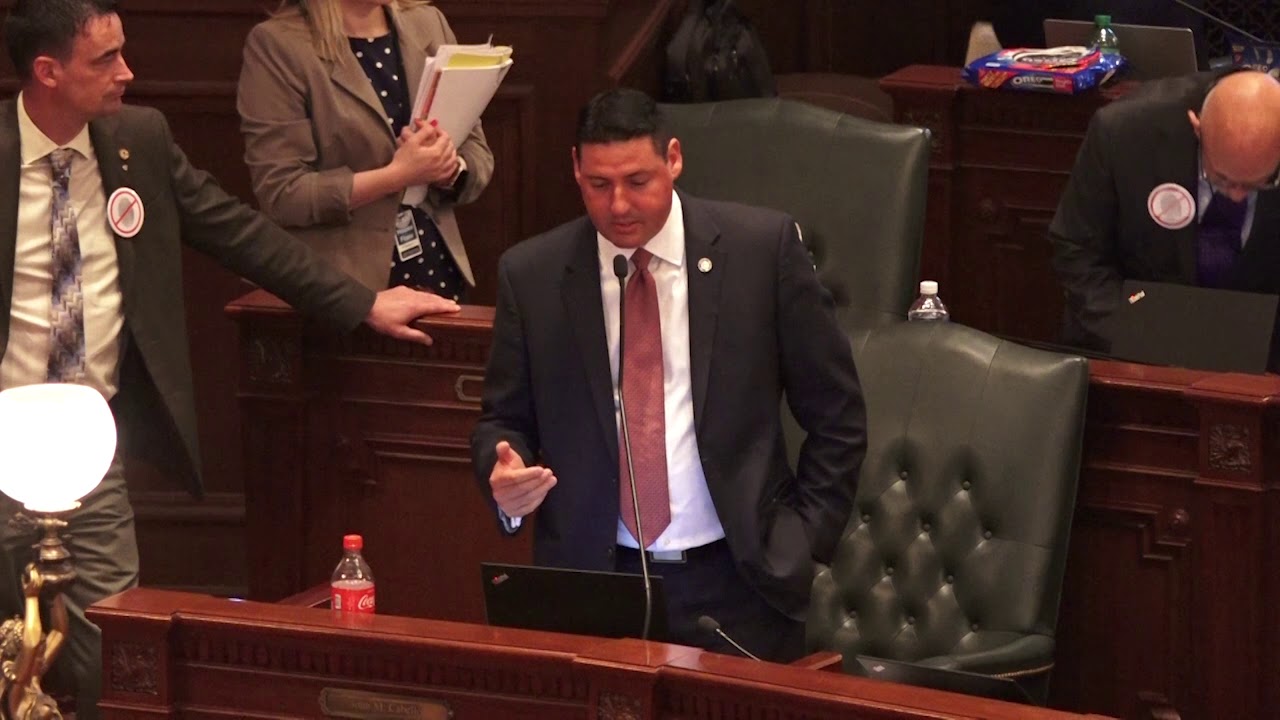 illinois general assembly statutes Rep. Cabello votes in defense of constitutional rights of law-abiding gun owners
