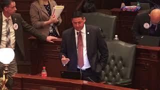 Rep. Cabello votes in defense of constitutional rights of law-abiding gun owners