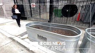 San Francisco residents who put out planter boxes getting code violations sent to them