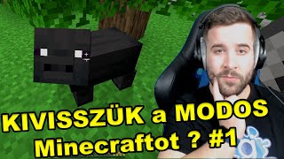 KIVISSZÜK a MODOS Minecraftot ? #1 | FEKETE MALAC !