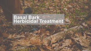 Basal Bark: Herbicidal Treatment