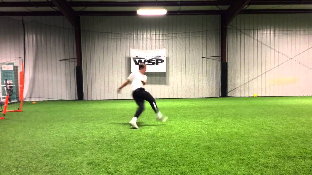 BetterGoalkeeping: Side Volleys