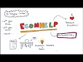 Econhelp channel trailer