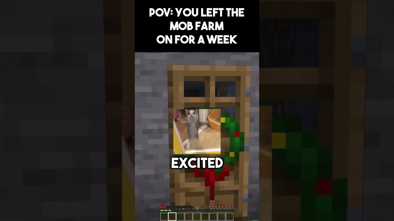 POV YOU LEFT THE MOB FARM ON FOR A WEEK