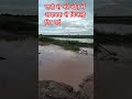 पानी से भरे खेत में अचानक से बिजली गिर गई #lightning #trending #shorts