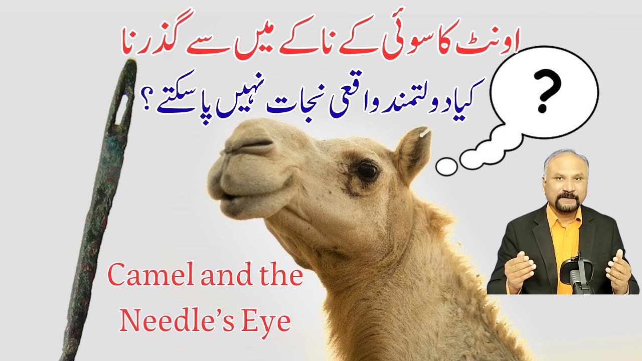7 Minutes with God - 20/11/25 - Camel through Needle's Eye || اونٹ کا سوئی کے ناکے میں سے گذرنا