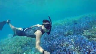 Freediving in Palau - 自由潛水之帛琉篇(2016 319 - 323)
