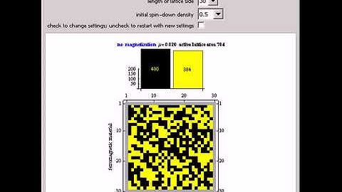 Magnetization Using an Ising Model Based on a Feedback Cellular Automata (SCA) Approach