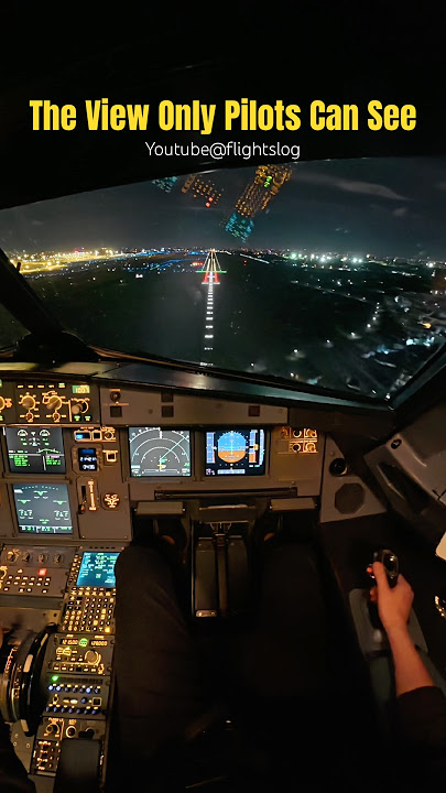The View Only Pilots Can See #airbus #aviation #pilot #landing