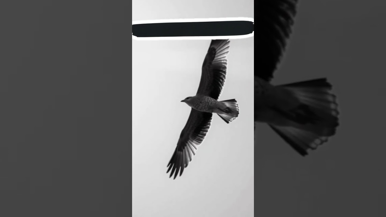 Empty Your Mind: The Zen Secret That Instantly Brings Peace.