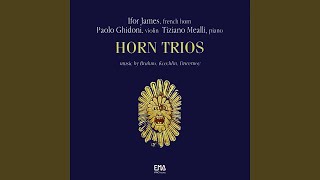 Trio N.1, Adagio - Allegretto in C Major