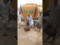 Chachro Bus Terminal , Mosque, Musafirkhana, Current practice of bringing water from 2 km via Tanker
