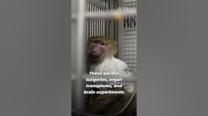 Hospitals are supposed to help, NOT hurt 😖 #animalrights #animalexperiments #animaltesting