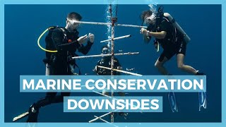You need to know this before working in marine conservation | working as a marine biologist | pt 1/3
