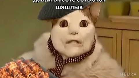 бу испугался не бойся ара (бу испугался не бойся )
