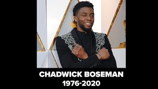 TRUE HERO,TRUE KING - Wakanda Forever (Chadwick Boseman tribute)