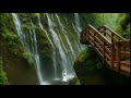 🌿 Nature Sounds for Sleep | Mountain River, Birdsong & Waterfalls — Relax Deeply and Sleep Well