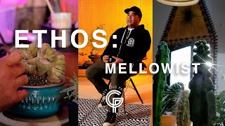 ETHOS SERIES MELLOWIST