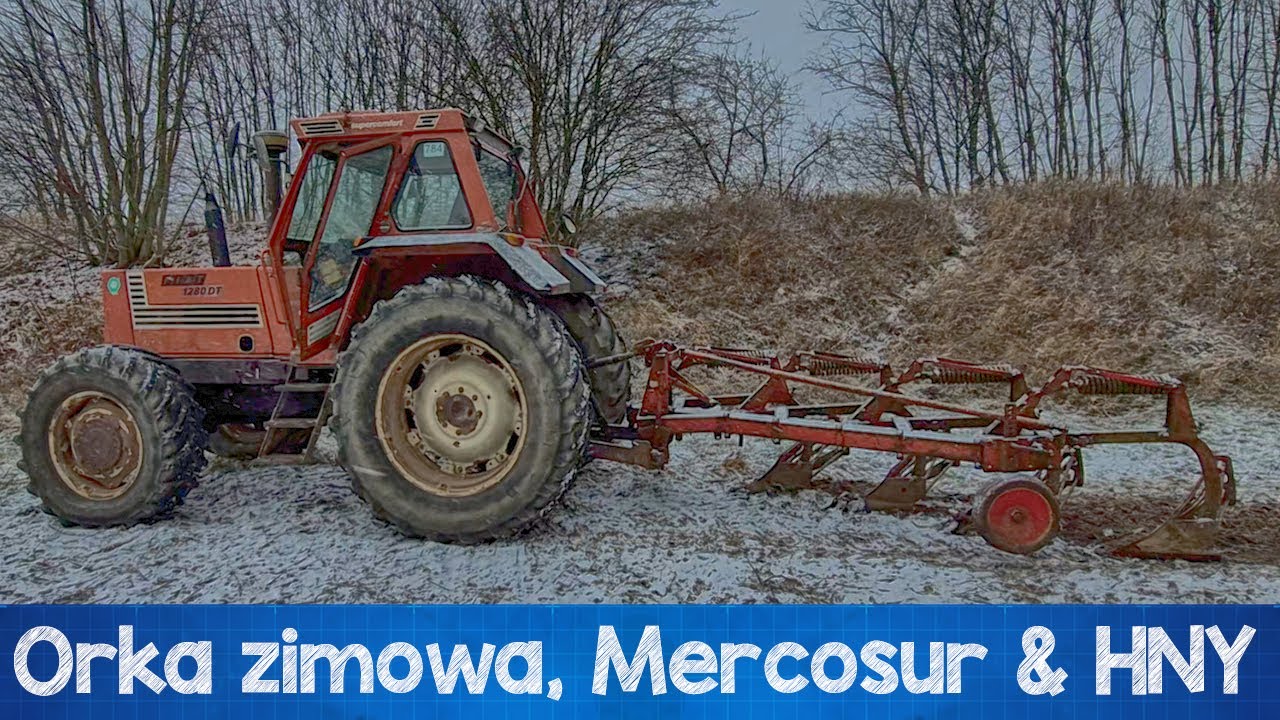 Orka zimowa Mercosur and Happy New Year