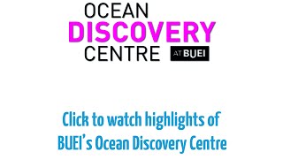 Visit the Ocean Discovery Centre at BUEI!