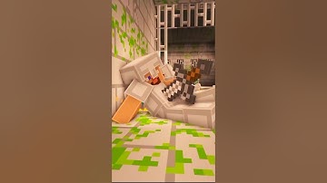 Minecraft but Herobrine Guards the End Portal #shorts #minecraft