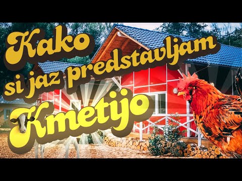 Video: Kako Kupiti Najboljšo Tekalno Stezo