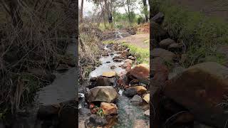 Lesmurdie falls
