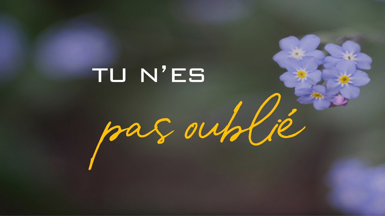 Cultes et réunions en direct