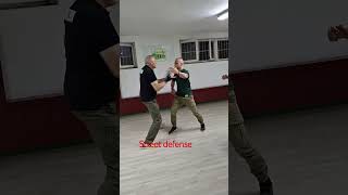 Wing Chun Naumov 🇲🇰 Street defense hand to hand 🔥 #wingchunkungfu #martialarts