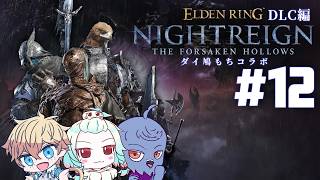 【ELDEN RING NIGHTREIGN】倒せる常夜を探して #12【Vtuber】