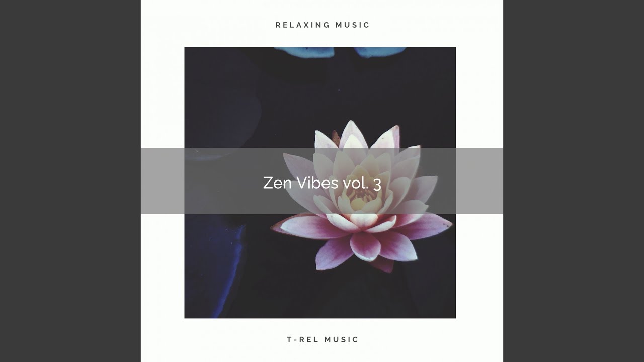 Experience of the Energy of Zen Music pt. 2