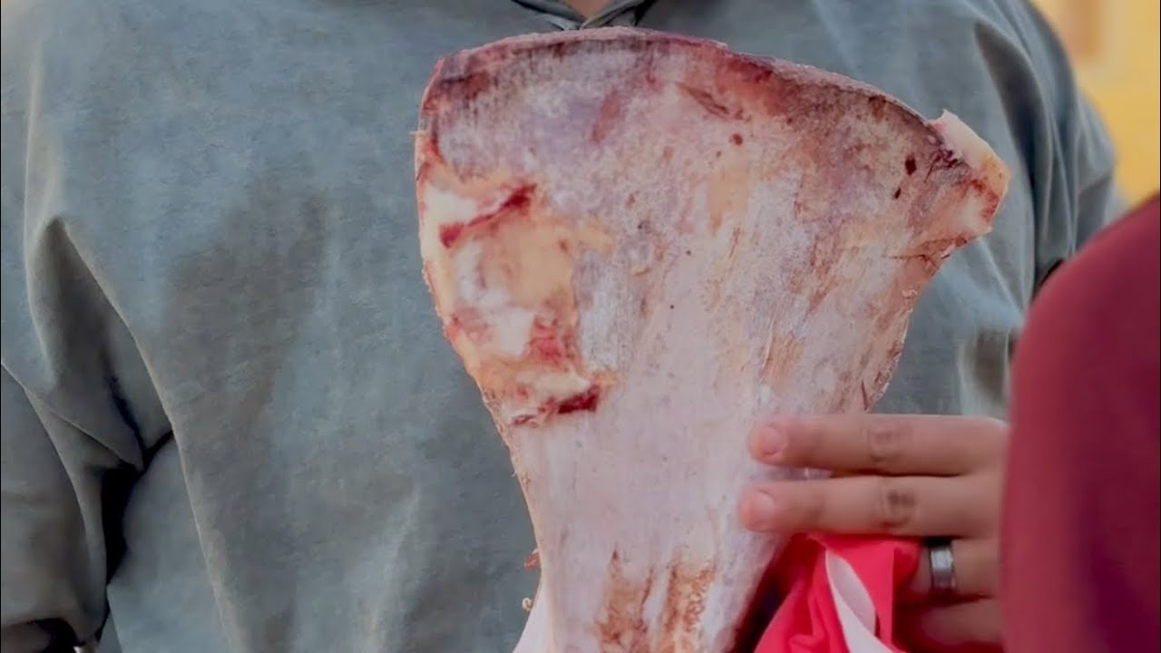 عظمة العمل السفلي