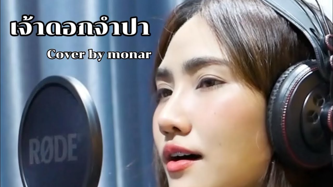 เจ้าดอกจำปา ( ເຈົ້າດອກຈຳປາ ) - เมล ตวิษา x ตุ๊กตา นริศรา - Cover by Monar